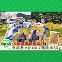 【ふるさと納税】【定期便】さくらや農園 魚沼産コシヒカリ 無洗米5kg　6ヶ月連続お届け　【定期便・お米・コシヒカリ】