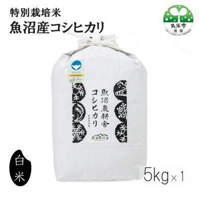 ふるさと納税 魚沼市 【令和8年産先行受付】米農家自慢の特別栽培米 魚沼産 コシヒカリ(精米)5kg×1袋