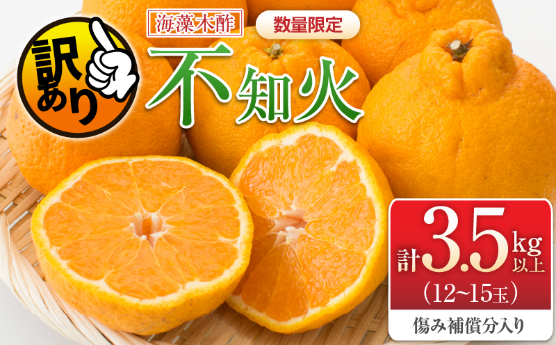 先行予約 訳あり 海藻木酢 不知火 計3.5kg以上 傷み補償分入り 期間限定 数量限定 フルーツ 果物 くだもの 柑橘 みかん 訳アリ 国産 食品 デザート おやつ おすそ分け おすすめ ご家庭用 