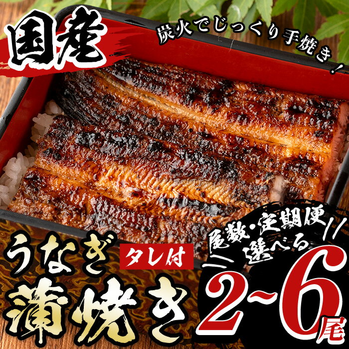 【ふるさと納税】《尾数・定期便選べる！》タレ付き！国産うなぎ蒲焼き(計2～5尾/定期便:2尾×3回) 国産 九州産 鰻 ウナギ unagi うな重 うな丼 ひつまぶし 蒲焼 無頭 魚 魚介類 土用 丑の日 タレ タレ付 おかず 惣菜 ギフト 贈答 真空パック 湯煎 レンジ 2尾 3尾 【尾方屋】
