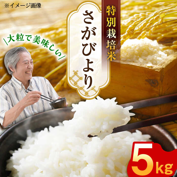 【ふるさと納税】特別栽培米 令和7年産 新米 さがびより 白米 5kg /よしたか農園 [UCY001]