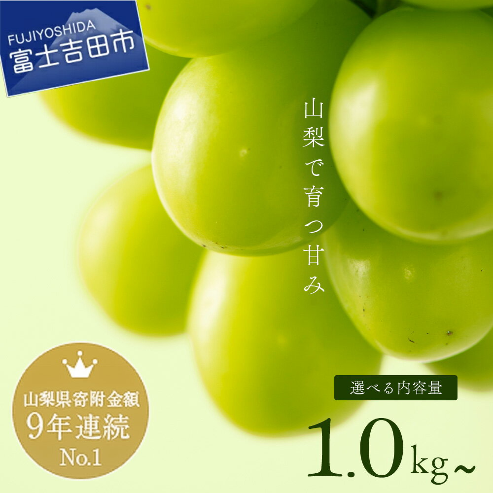 【ふるさと納税】 【 楽天限定 】 ★フルーツランキング「1位獲得！」★ 高レビュー続出 シャインマスカット 選べる容量 1kg～3kg ふるさと納税 フルーツ ぶどう 果物 送料無料 山梨県産 2026 発送 旬 大粒 高級 ブドウ おいしい 葡萄 富士吉田市 【 2026年発送 先行予約 】