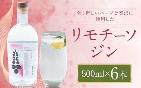 リモチーソジン 500mL×6本セット