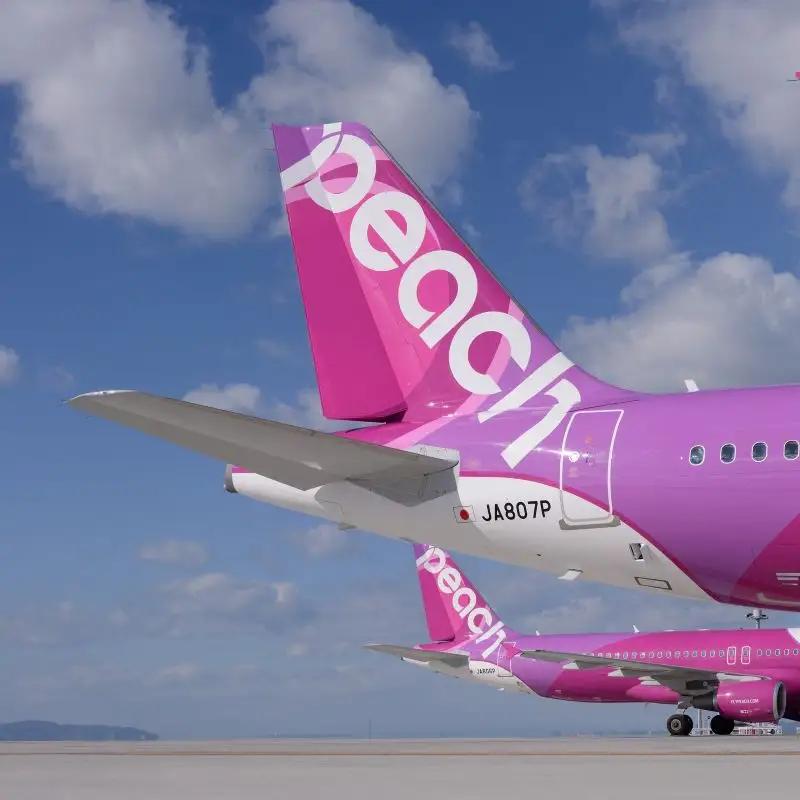 PeachでGo！！泉佐野市宿泊 旅行クーポン（90,000円分）
