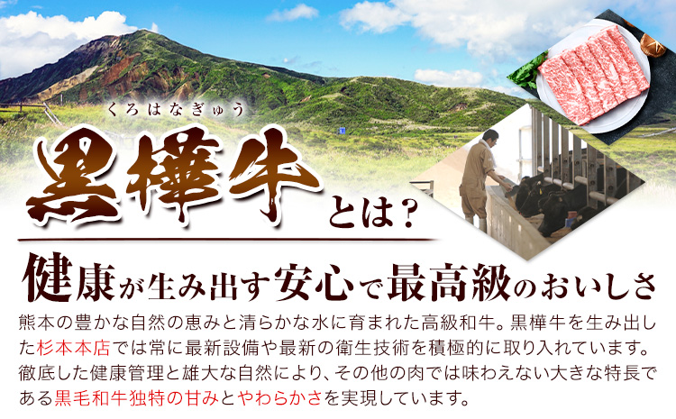 熊本県産黒毛和牛　黒樺牛すき焼き用スライス盛り合わせセット　タレ付 肉好き必見 黒毛和牛 黒樺牛 肉 牛肉 焼肉 スライス 盛り合わせ 国産 専門店 熊本県 取り寄せ 贈答 ギフト お中元 お歳暮 熊