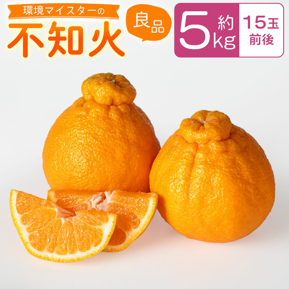 【ふるさと納税】環境マイスターの不知火 良品 約5kg 15玉前後 （栽培期間中は無肥料・低農薬） 不知火 蜜柑 みかん ミカン 果物 国産 九州産 熊本県産 冷蔵 送料無料【2026年1月上旬-4月下旬迄順次発送予定】