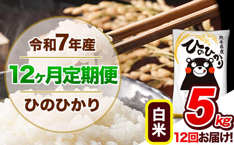 【12ヶ月定期便】令和7年産 定期便 白米 ひのひかり 5kg 《お申込み翌月から出荷》令和7年産 熊本県産｜人気米 熊本県産米 お米 生活応援米---hn7tei_132000_5kg_mo12_gkt_h---