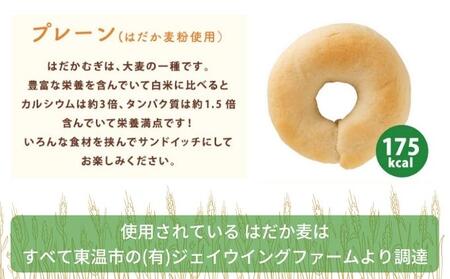こんにゃくベーグル プレーン 一柳こんにゃく店 こんにゃくベーグル【10個】