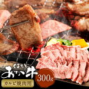 【ふるさと納税】くまもとあか牛 カルビ焼肉 計300g 牛肉 お肉 肉 あか牛 褐毛和牛 和牛 焼肉 焼き肉 パック 冷凍 熊本県産 国産 九州 熊本県 西原村 送料無料