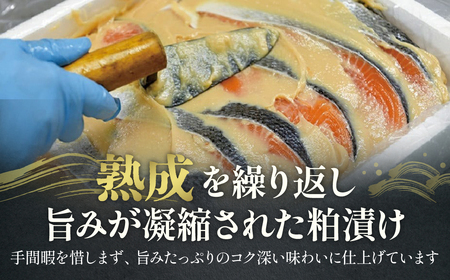 銀だら・銀さけ 粕漬セット 計10切 榮心漬 U-1