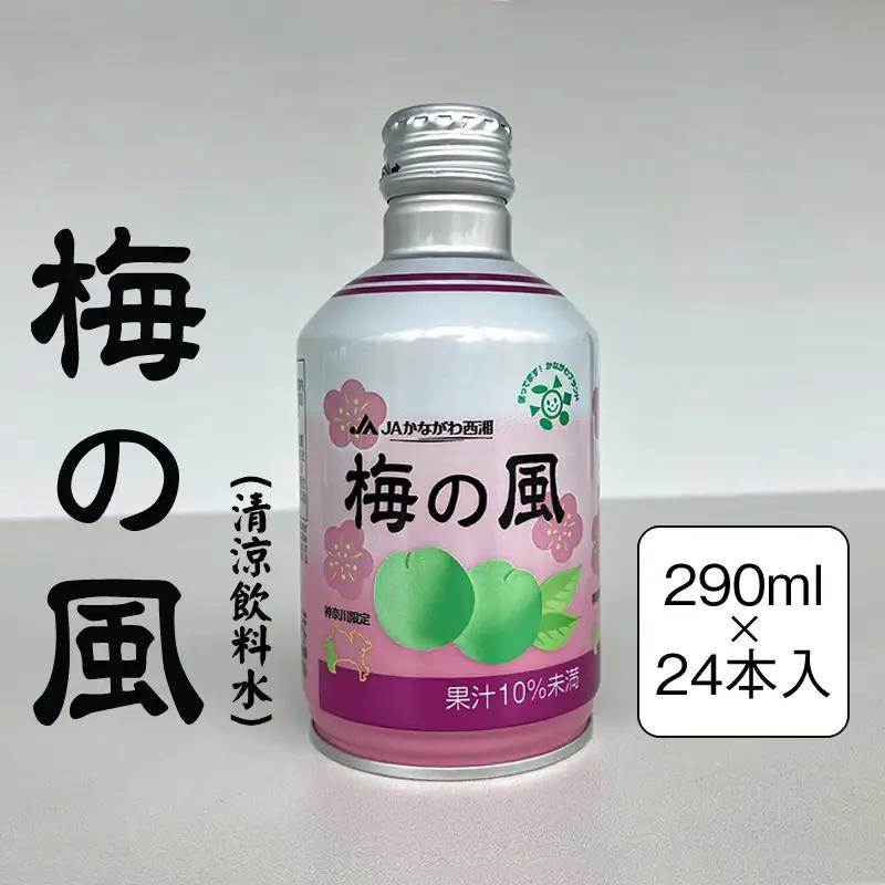 梅の風（清涼飲料水）　290ml×24本入り【 神奈川県 山北町 】