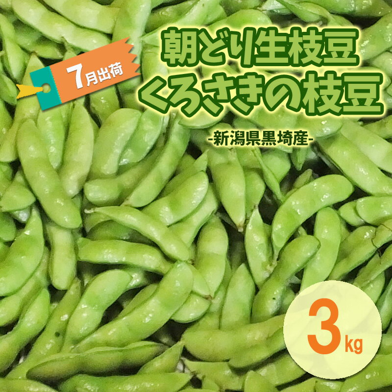 【ふるさと納税】7月出荷 朝どり生枝豆 くろさきの枝豆3kg 新潟県黒埼産 新潟市 枝豆 えだまめ えだ豆　お届け：2026年6月下旬～7月下旬