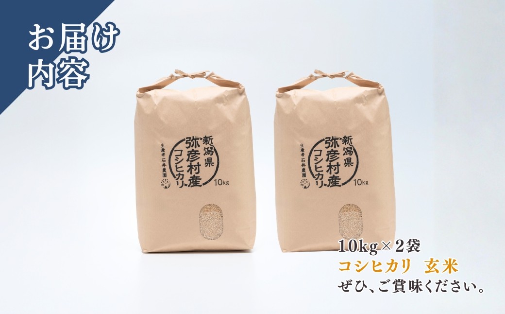 玄米 20kg 新潟 コシヒカリ