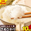 【ふるさと納税】令和6年産 池田にんにく米 10kg (5kg×2袋) (紀の川市産きぬひかり) 上野商店 《30日以内に出荷予定(土日祝除く)》和歌山県 紀の川市 米 白米 きぬひかり