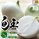 【ふるさと納税】【先行予約】 高評価☆4.68 訳あり とにかく甘い 新玉ねぎ 旬玉 選べる 2.5kg ～ 7kg 季節ごとの旬玉 玉ねぎ 甘み豊か みずみずしい オニオン 生がおいしい ミネラル サラダ 玉ねぎステーキ スープ 農場 神重農産 お取り寄せ 愛知県 碧南市 送料無料