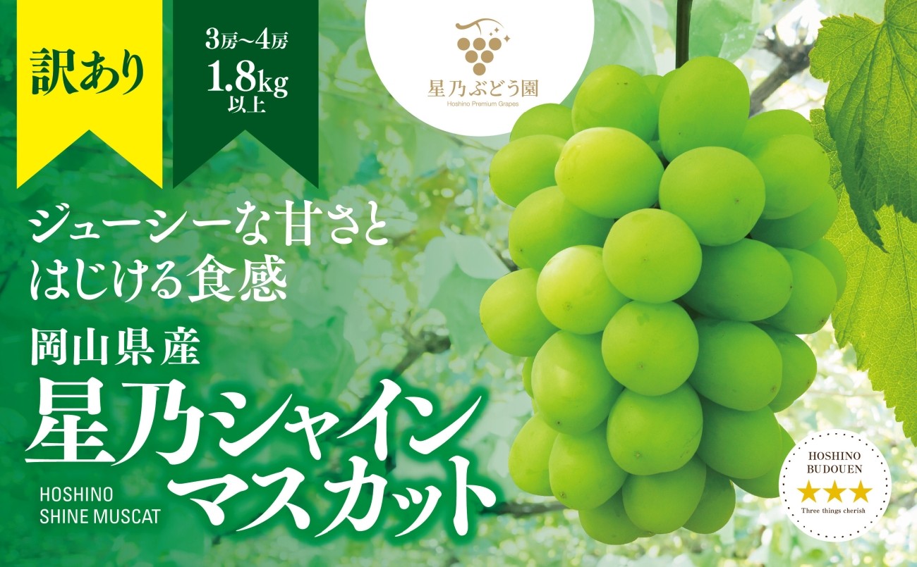 
                  ＜先行受付＞訳あり星乃シャインマスカット(岡山県産) 3～4房(1.8kg以上)_シャインマスカット 訳あり 1.8kg 3房 4房 家庭用 自宅用 果物 くだもの フルーツ 岡山県 津山市 産地直送 送料無料【1626442】
                