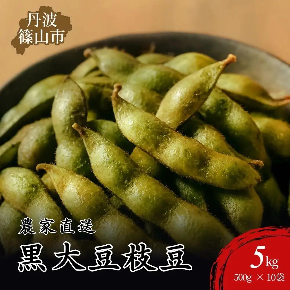 【令和8年産 2026年10月中旬以降順次発送】丹波篠山産黒大豆枝豆500g×10袋 BE17