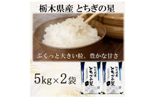 【令和5年産】栃木県産とちぎの星 (精米)5kg×2袋 ｜ お米 白米 一等米 送料無料 栃木県 宇都宮市※離島への配送不可