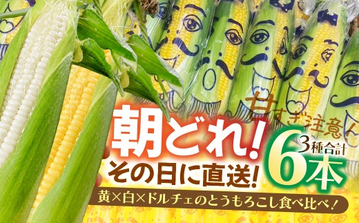 とうもろこし とうもろこし食べ比べセット 黄×2本、白×2本、ドルチェ×2本 計6本 | とうもろこし トウモロコシ 食べ比べ コーン 野菜 やさい ヤサイ 夏野菜 玉蜀黍 朝採れ じゅわっ バーベキュー BBQ 冷製スープ 旬の味覚 所沢とうもろこし 所沢とうもろこし ところざわ 株式会社corot 埼玉県所沢市