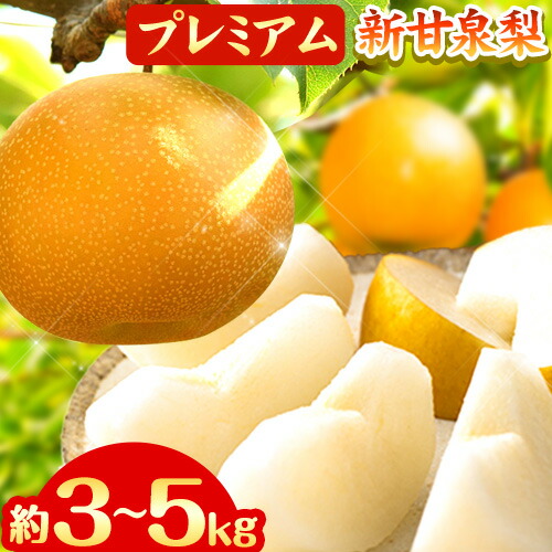 【2026年先行予約】なし 梨 プレミアム 新甘泉 選べる 約3kg (4～10玉) 約5kg (7～16玉) 高間商店《2026年8月下旬-10月上旬頃出荷予定》 鳥取県 八頭町 梨 なし ナシ 果物 フルーツ 厳選 先行予約 ふるさと納税 送料無料 甘い 果実 果汁 デザート 新甘泉梨 赤梨