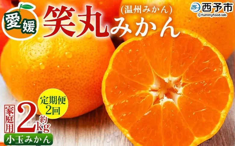 ＜愛媛県明浜産 笑丸みかん（温州みかん）定期便2回 約2kg 小玉サイズ＞ 家庭用 訳あり ワケアリ 果物 くだもの フルーツ ミカン 柑橘 特産品 笑丸 愛媛県 西予市【常温】『2026年11月頃に第1回目順次出荷予定』AAN0109