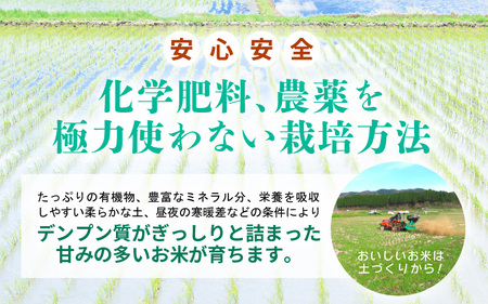 【先行予約】令和8年産 新米 幻のもち米 タンチョウもち米 3kg（精米）【2026年10月中旬以降順次発送】 【お米 米 こめ コメ kome 福井県産 モチ たんちょう おこわ 餅 おもち 常温 