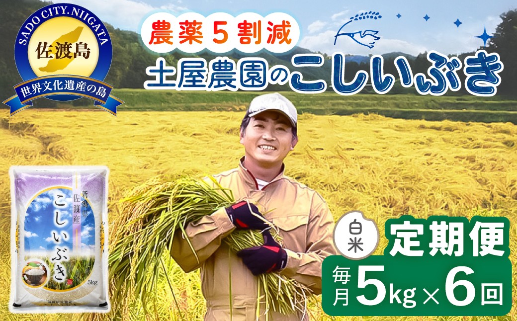 
                  佐渡島産【6か月定期便 こしいぶき】佐渡島産こしいぶき 白米 合計30kg（5kg×毎月お届け全6回）令和8年産 新米 農薬・化学肥料5割減 | 新潟県産こしいぶき 新潟産こしいぶき 佐渡産こしいぶき こしいぶき コシイブキ お米 米 白米 精米 ブランド米 おこめ コメ 5キロ あっさり にいがた さど 新潟県 佐渡市
                