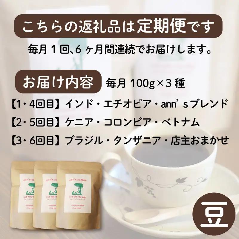 コーヒー豆 【定期便6か月】ann's cafe 100g×3種 コーヒー豆