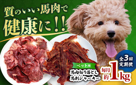 【全3回定期便】詰め合わせ 国内加工 ペット用 馬肉 切り落とし 1kg ペット用 馬刺しジャーキー 100g(50g×2) 【合同会社　長岡フーズ】[ZFR066]