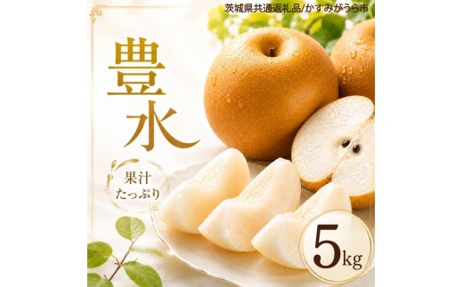 
                  梨 果物 豊水 なし 5kg 1箱 フルーツ くだもの 夏 秋 旬 果汁 甘み 酸味 茨城県産 期間限定 数量限定 【茨城県共通返礼品/かすみがうら市】（107-01）
                