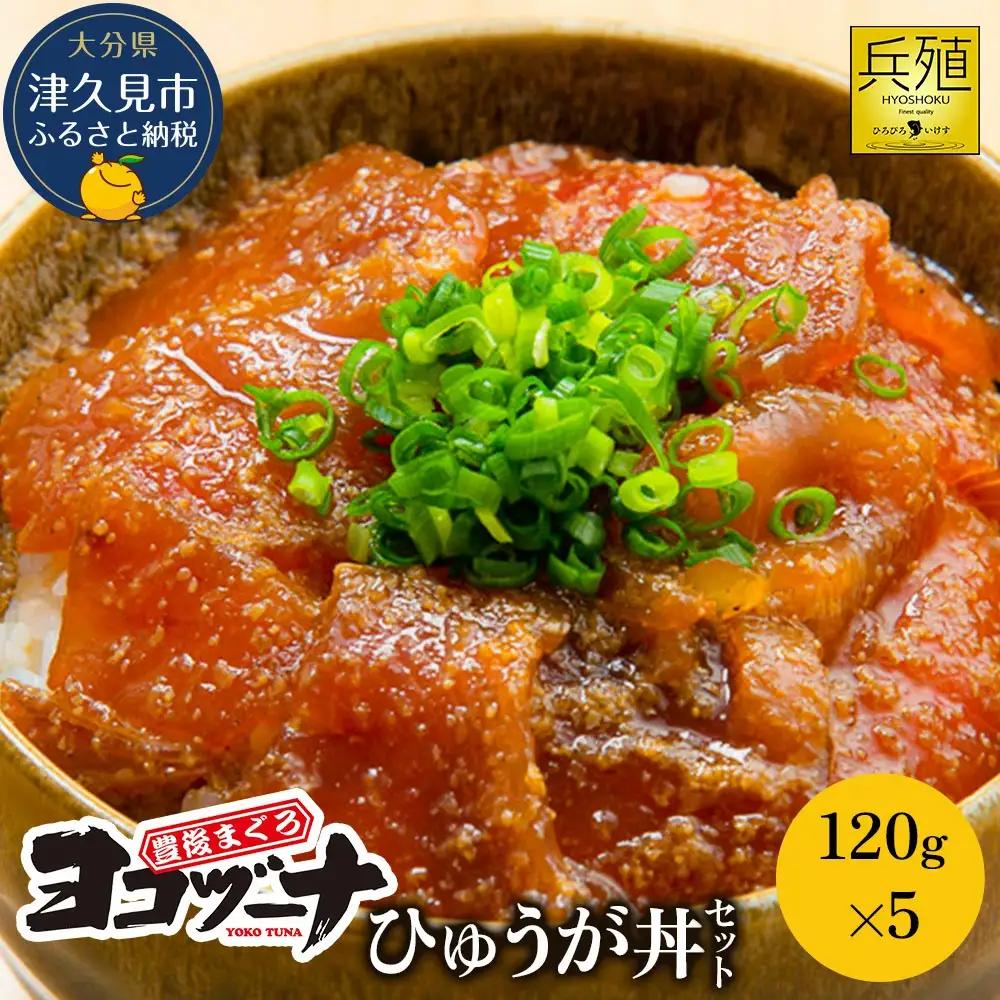 漬け丼 本マグロヨコヅーナ 漬け丼セット
