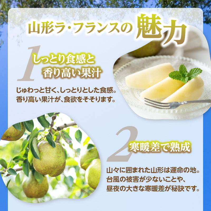 《先行受付》ラフランス 約2kg（4～8玉） 【2026年11月上旬頃～発送予定】【山形洋梨】