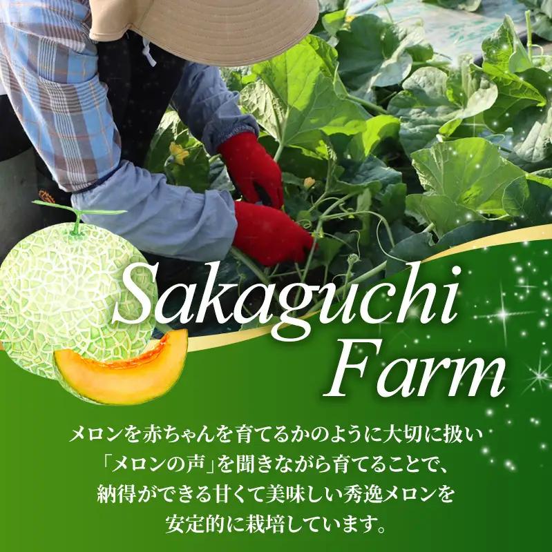 富良野メロン 赤肉 桐箱入 『鳳凰』 富良野メロン【3L 2玉 計約4kg以上】