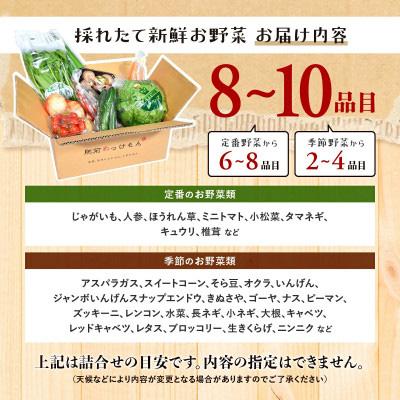 ふるさと納税 鹿島市 【毎月定期便】肥前の国のお野菜詰め合わせセット(鹿島市)全6回 |  | 03