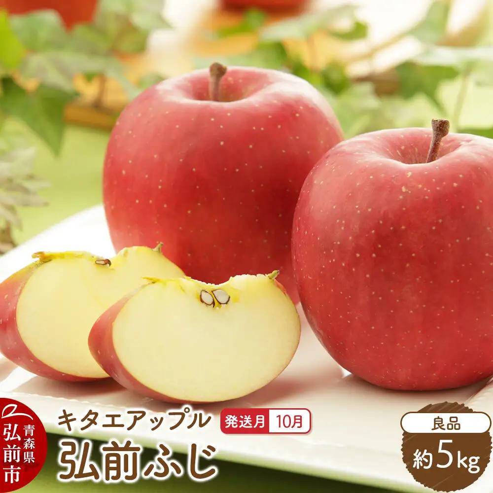 【26年10月発送】りんご 弘前ふじ【良品】約5kg キタエアップル 青森県 弘前市