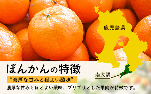 【先行予約】南大隅の太陽浴びた甘くて・おいしい ぽんかん 5kg【2026年1月中旬以降順次発送】 ID-1 ｜ぽんかん ポンカン 柑橘 甘い 果物 新鮮 産地 直送 先行予約 おすすめ 人気 南大隅