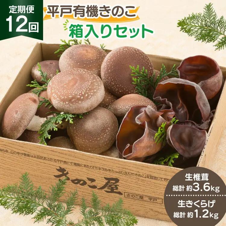 きのこ しいたけ きくらげ 生椎茸 生きくらげ 箱入りセット 12回 定期便