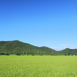 竜王町 返礼品なしの応援受付【返礼品なし/1,000円～1,000,000円】