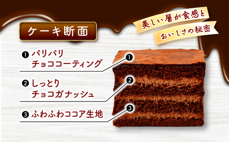 チョコレート ケーキ 2個  CAM060 チョコレーケーキ