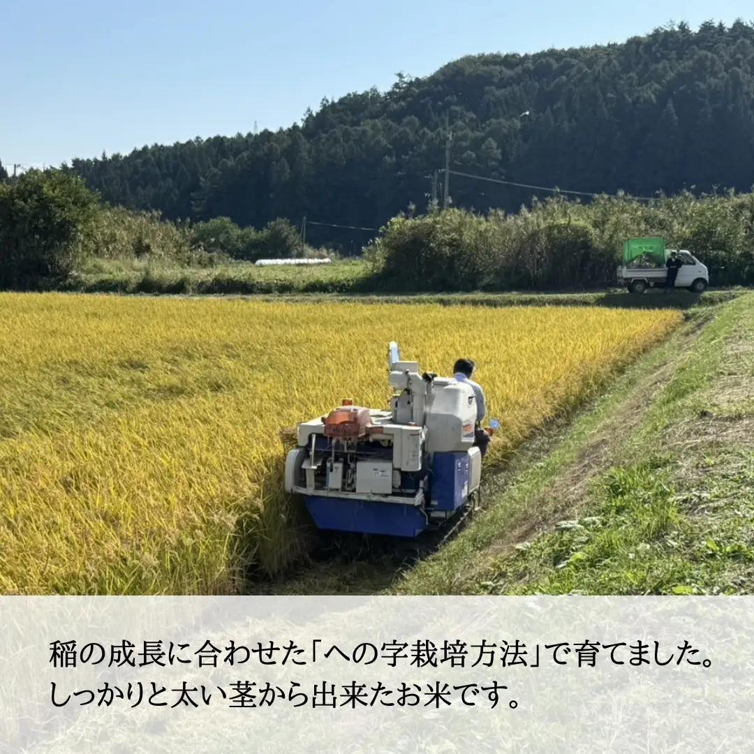 【2026年先行予約】信州大田原産 新米 あきたこまち玄米 10kg (5kg×2袋) | あきたこまち 玄米