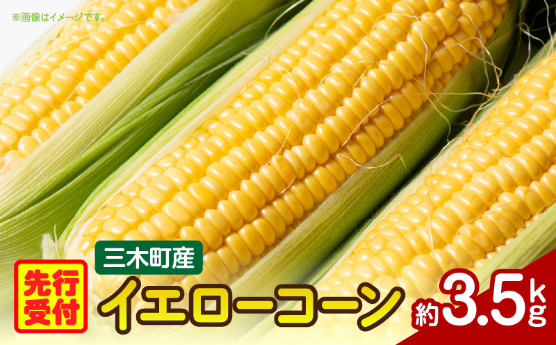 
            三木町産　イエローコーン　約3.5kg_mk059-022
          