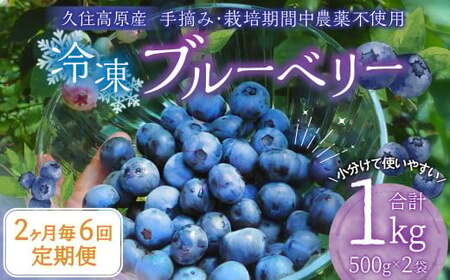 【2ヶ月毎6回 定期便】久住高原 手摘みブルーベリー 冷凍 500g 2袋 計6kg 小分け 栽培期間中農薬不使用 【2025年7月下旬より順次発送開始予定】