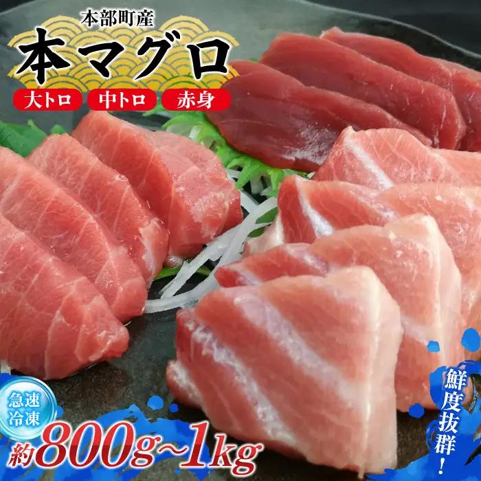 本マグロづくし（大トロ・中トロ・赤身） 本部町産 約800g～1000g マグロ