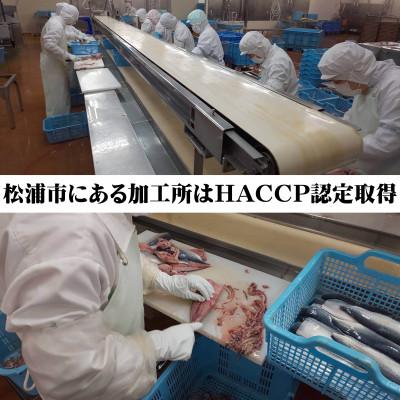 ふるさと納税 松浦市 えんまきブランド旬さば・旬あじの干物と海鮮醤油漬けセット |  | 01