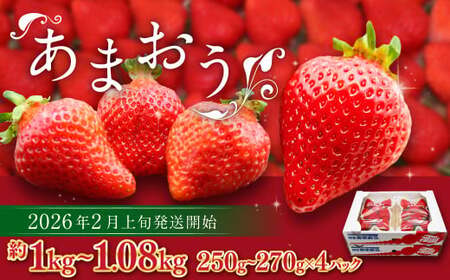 博多あまおう（春） 約250g～270g×4パック 計約1kg～1.08kg【2026年2月上旬-4月下旬発送予定】いちご 苺 イチゴ 果物 フルーツ