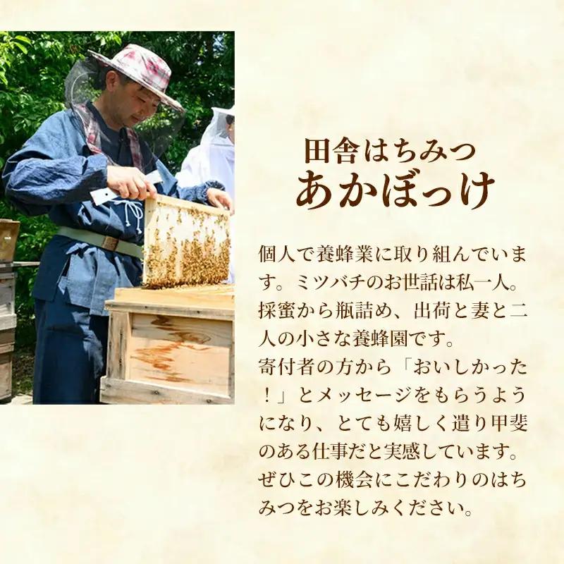 【数量限定】山桜はちみつと春の田舎はちみつの3種セット[Ｂ3山桜] 【茨城県共通返礼品／五霞町】  生ハチミツ 非加熱 はちみつ 蜂蜜 春 ボトル入り セット 人気 茨城県産 五霞町