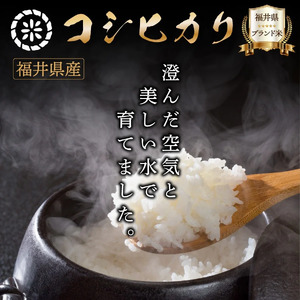 【定期便6回】福井県産 コシヒカリ 精米 2kg（1kg×2）＜令和7年産 新米 / 数量限定 ＞【米 コメ お米 精米 白米 無洗米 玄米 ご飯 飯 こしひかり ブランド米 国産】[095-t06-