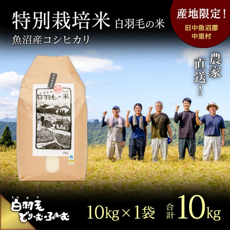 【ふるさと納税】【通年受付】≪令和7年産≫ 農家直送！魚沼産コシヒカリ特別栽培「白羽毛の米」精米10kg お米 白米 　お届け：10月1日発送開始。通年受付にてお届けします。