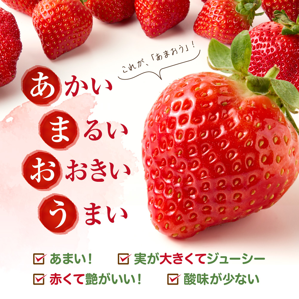 【定期便／3ヶ月連続お届け】アフター保証 博多あまおう 約280g×2パック 計3回 総量1.68kg 3カ月定期便【JAほたるの里】_HB0075