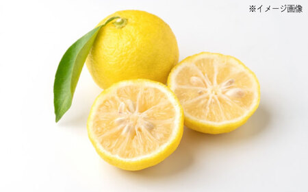 【全12回定期便】ちりめん 甚ごろうのちりめん柚子 2袋 （60g×2袋） 広島県福山市/甚ごろう 柚子 ちりめん じゃこ ちりめんじゃこ ご飯のお供 和食 惣菜 ギフト[BAEC073]